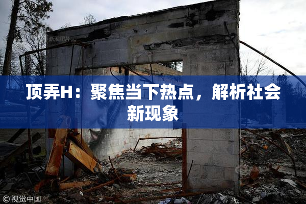 顶弄H：聚焦当下热点，解析社会新现象