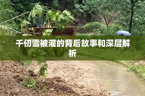 千仞雪被灌的背后故事和深层解析