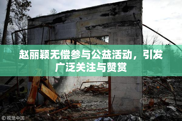 赵丽颖无偿参与公益活动，引发广泛关注与赞赏
