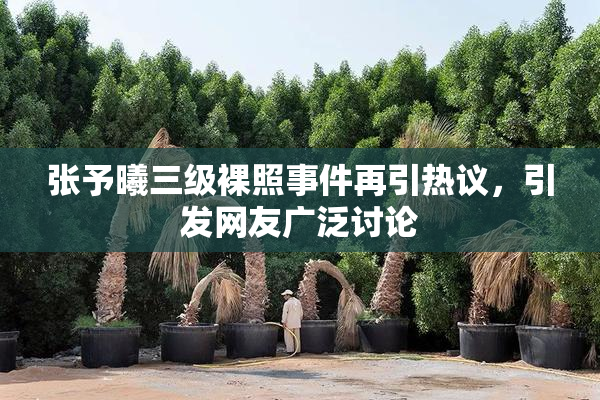 张予曦三级裸照事件再引热议，引发网友广泛讨论