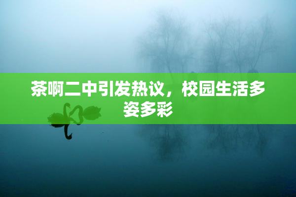 茶啊二中引发热议，校园生活多姿多彩