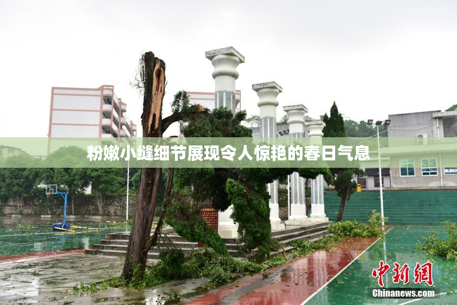粉嫩小缝细节展现令人惊艳的春日气息