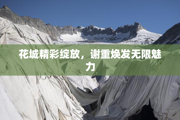 花城精彩绽放，谢重焕发无限魅力