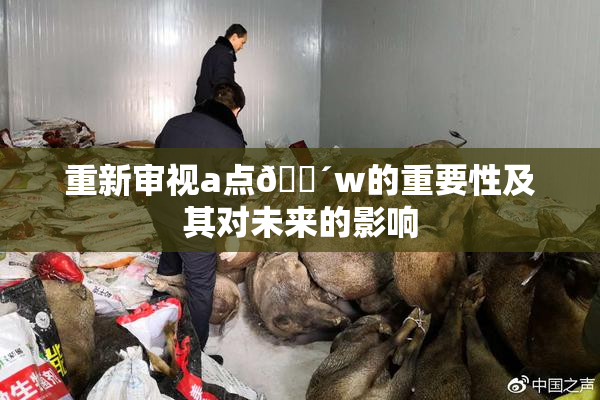 重新审视a点🔴w的重要性及其对未来的影响