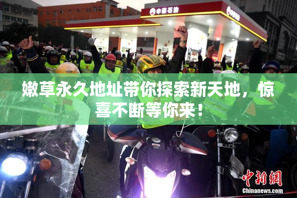 嫩草永久地址带你探索新天地，惊喜不断等你来！