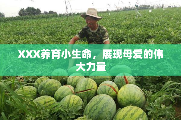 XXX养育小生命，展现母爱的伟大力量