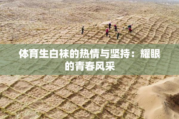 体育生白袜的热情与坚持：耀眼的青春风采