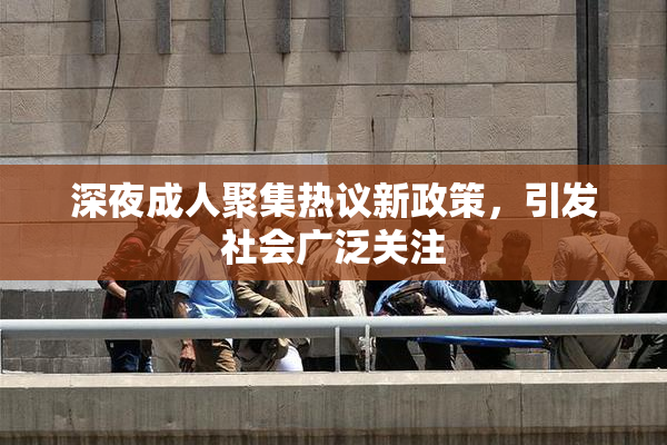 深夜成人聚集热议新政策，引发社会广泛关注