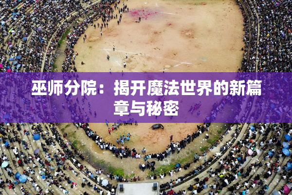 巫师分院：揭开魔法世界的新篇章与秘密