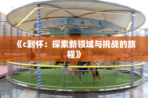 《c到怀：探索新领域与挑战的旅程》