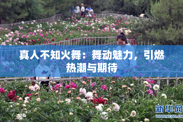 真人不知火舞：舞动魅力，引燃热潮与期待