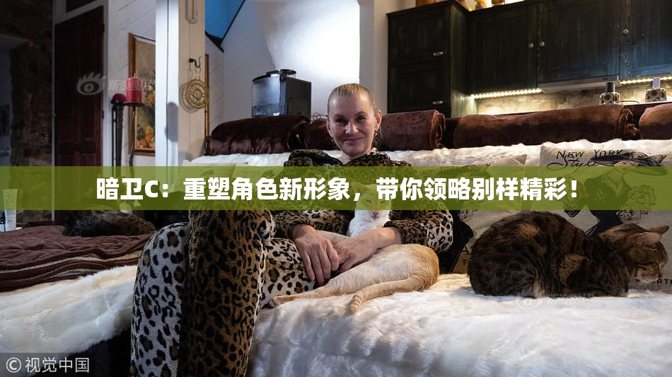 暗卫C：重塑角色新形象，带你领略别样精彩！