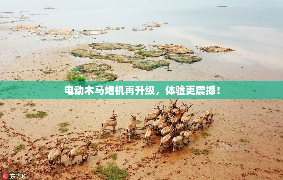 电动木马炮机再升级，体验更震撼！