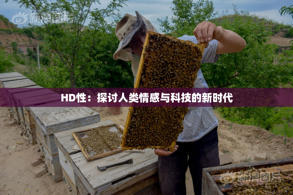 HD性：探讨人类情感与科技的新时代