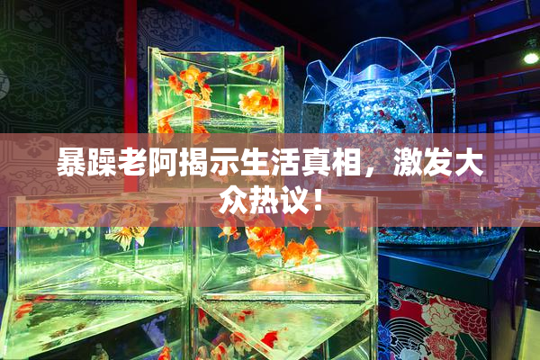 暴躁老阿揭示生活真相，激发大众热议！