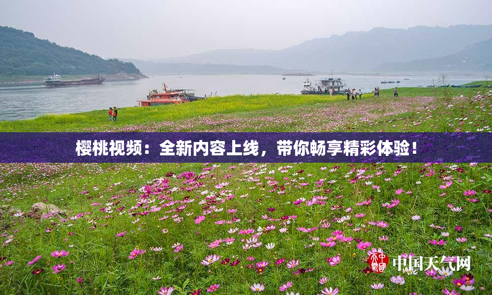 樱桃视频：全新内容上线，带你畅享精彩体验！