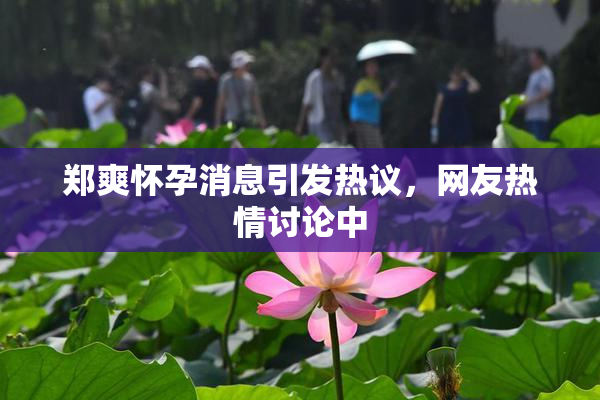 郑爽怀孕消息引发热议，网友热情讨论中