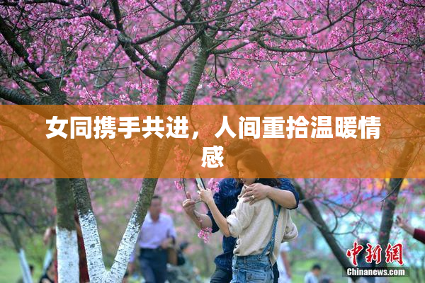 女同携手共进，人间重拾温暖情感