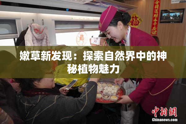 嫩草新发现：探索自然界中的神秘植物魅力
