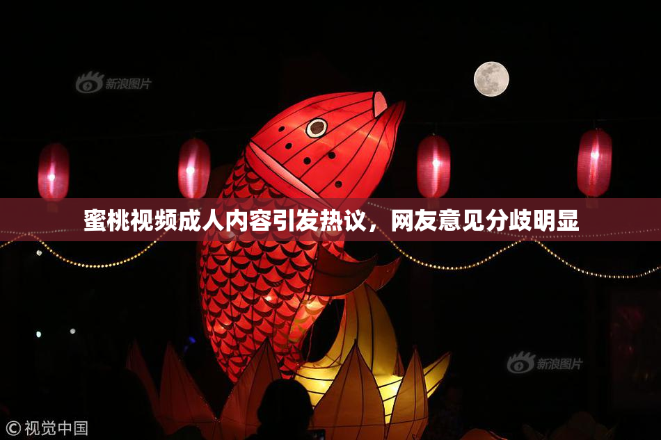 蜜桃视频成人内容引发热议，网友意见分歧明显