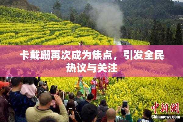 卡戴珊再次成为焦点，引发全民热议与关注