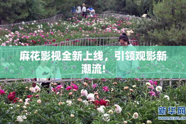麻花影视全新上线，引领观影新潮流!