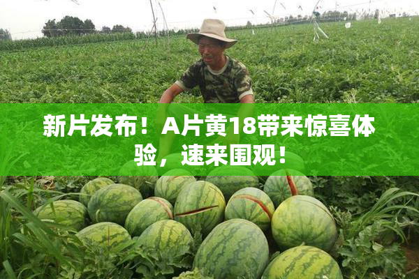 新片发布！A片黄18带来惊喜体验，速来围观！