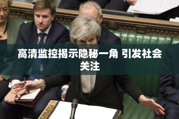 高清监控揭示隐秘一角 引发社会关注