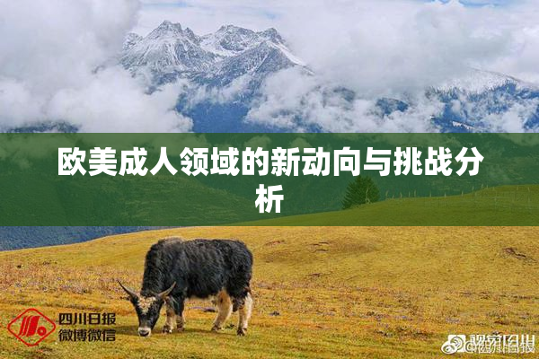 欧美成人领域的新动向与挑战分析
