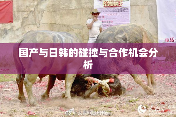 国产与日韩的碰撞与合作机会分析