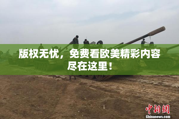 版权无忧，免费看欧美精彩内容尽在这里！