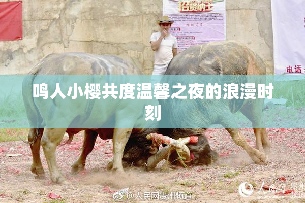 鸣人小樱共度温馨之夜的浪漫时刻