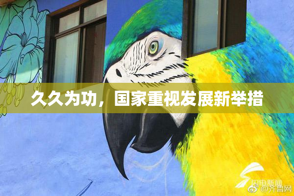 久久为功，国家重视发展新举措