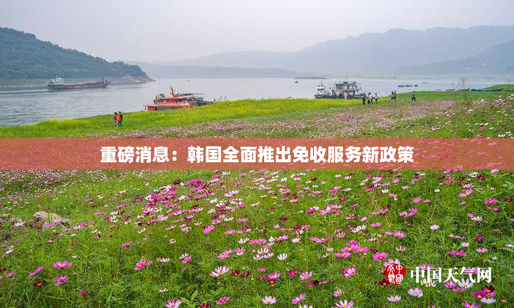 重磅消息：韩国全面推出免收服务新政策