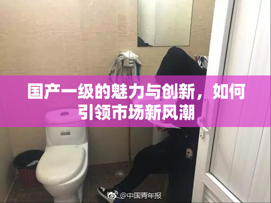 国产一级的魅力与创新，如何引领市场新风潮