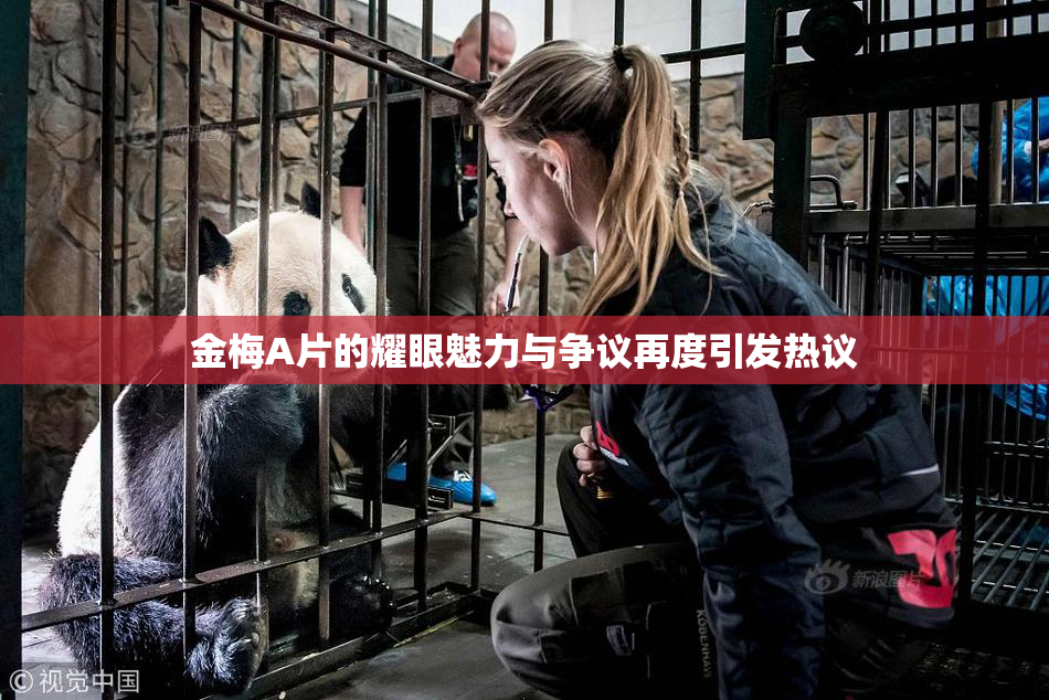 金梅A片的耀眼魅力与争议再度引发热议