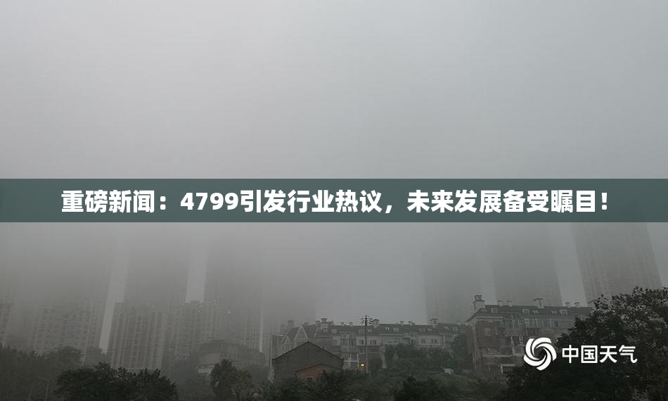 重磅新闻：4799引发行业热议，未来发展备受瞩目！