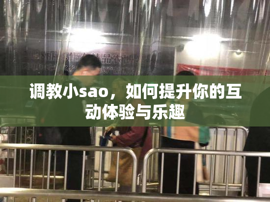 调教小sao，如何提升你的互动体验与乐趣