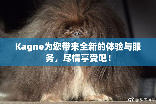 Kagne为您带来全新的体验与服务，尽情享受吧！