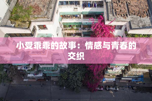 小受乖乖的故事：情感与青春的交织