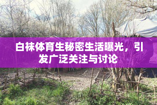 白袜体育生秘密生活曝光，引发广泛关注与讨论