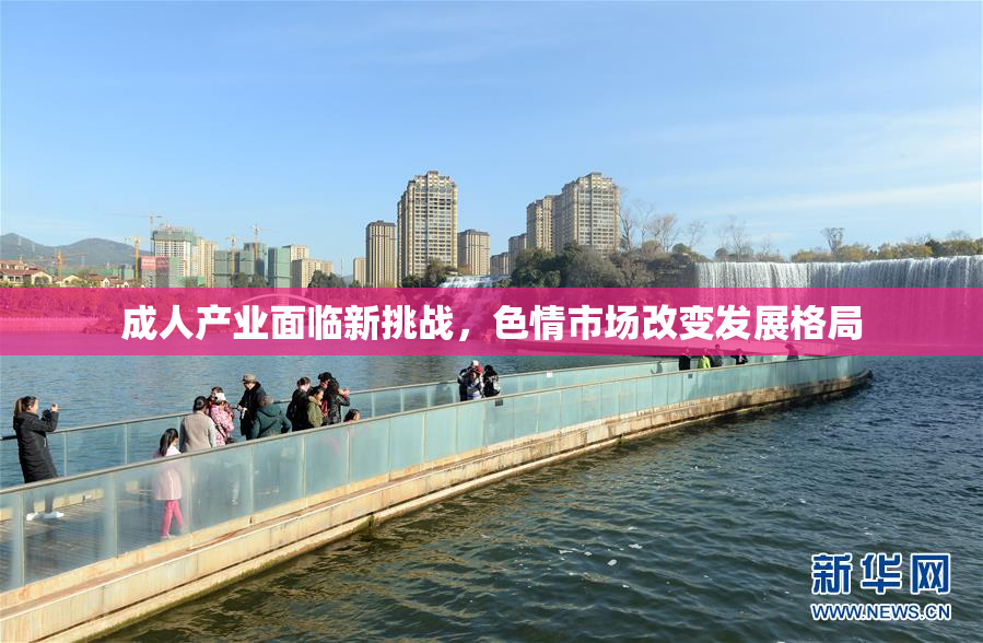 成人产业面临新挑战，色情市场改变发展格局
