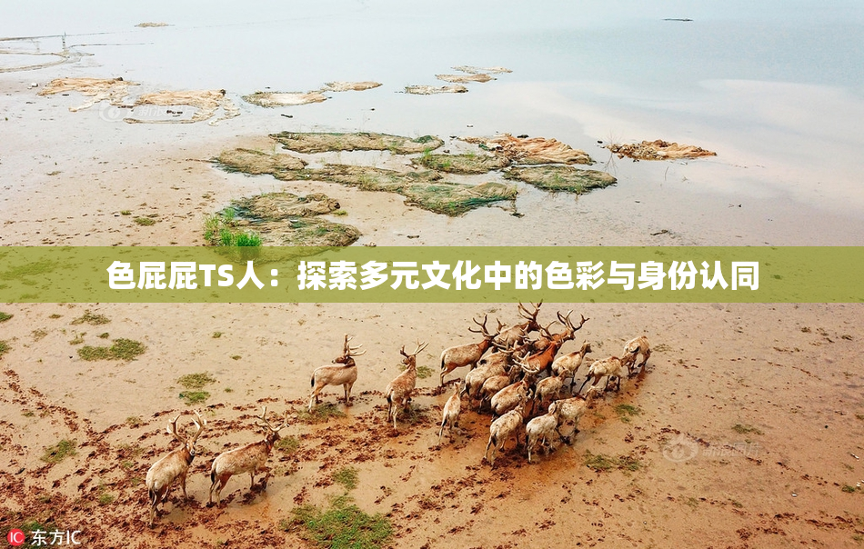 色屁屁TS人：探索多元文化中的色彩与身份认同
