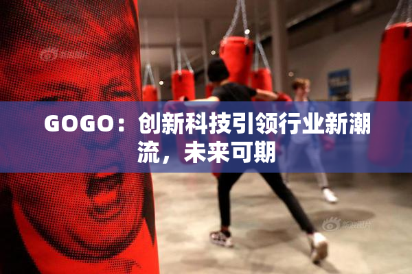 GOGO：创新科技引领行业新潮流，未来可期