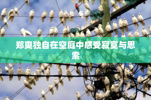 郑爽独自在空庭中感受寂寞与思索