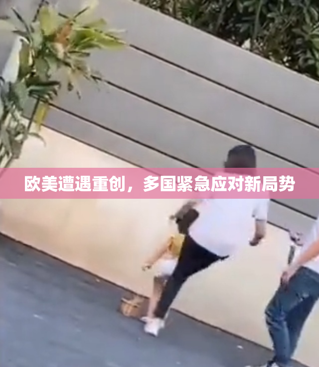 欧美遭遇重创，多国紧急应对新局势