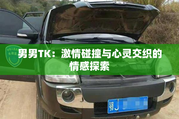 男男TK：激情碰撞与心灵交织的情感探索