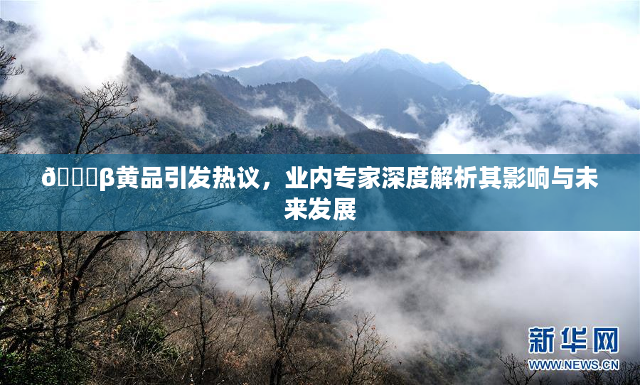 🔞β黄品引发热议，业内专家深度解析其影响与未来发展