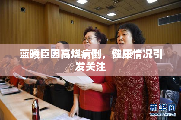 蓝曦臣因高烧病倒，健康情况引发关注