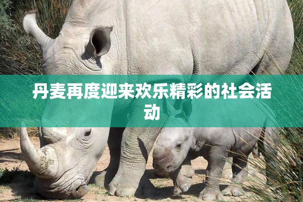 丹麦再度迎来欢乐精彩的社会活动
